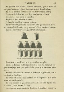 “Galantina de Pavo”, receta de “El libro de cocina” de Jules Gouffé. Biblioteca de la Fototeca Lorenzo Becerril A.C.
